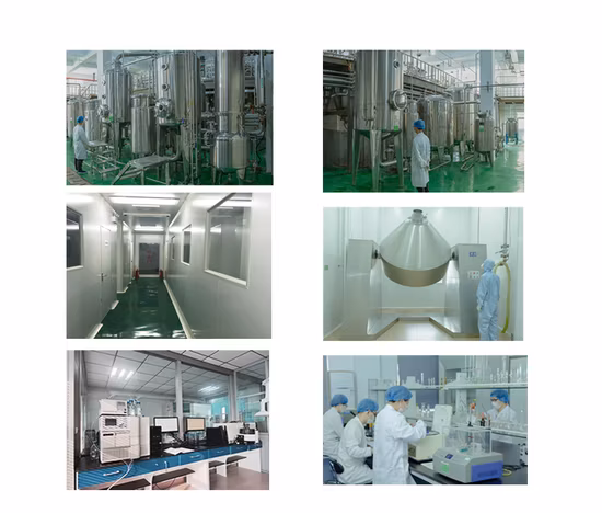 Natural Plant Extract Goji Extract