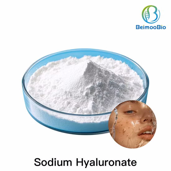 Cosmetic Raw Material Sodium Hyaluronate Skin Hydrating and Moisturizing CAS 9067-32-7