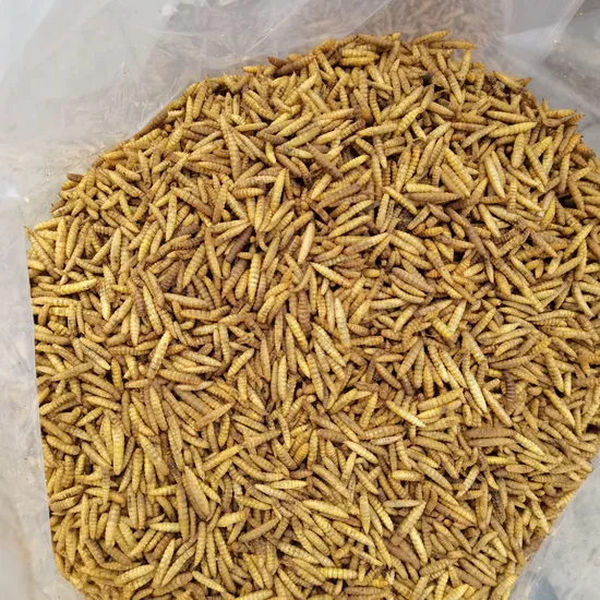 Aquaculture Immune Polysaccharide Oligosaccharide Protects Liver, Gallbladder Fish, Shrimp, Crab, Sea Cucumber, Resist Stress, Supplement Nutrition and Promote