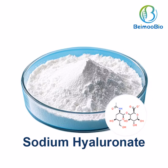 Cosmetic Raw Material Sodium Hyaluronate Skin Hydrating and Moisturizing CAS 9067-32-7
