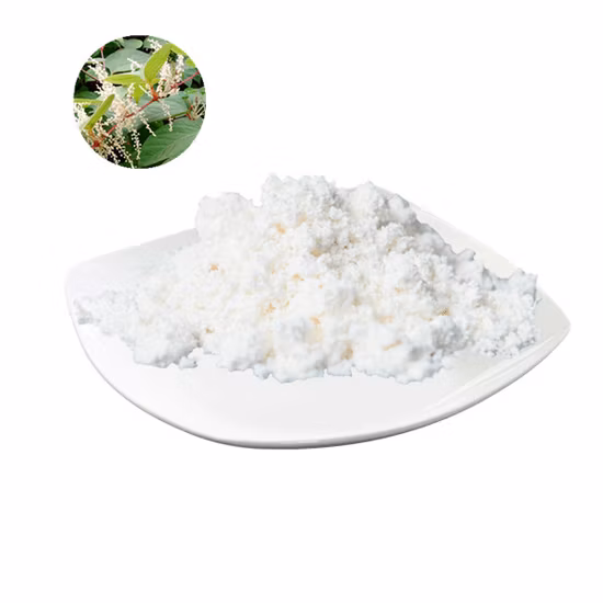 Natural Plant Extract Pure Micronized Organic 98% Trans Resveratrol Powder CAS 501-36-0
